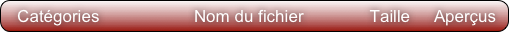   Catégories                    Nom du fichier              Taille     Aperçus